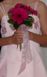 pinkdressgerber.jpg