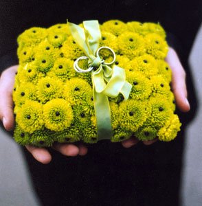coolestpillow.jpg