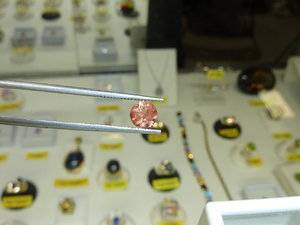 P1380003.JPG