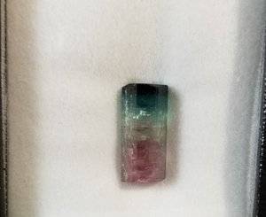 20190406_181712.jpg