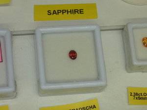 P1380020.JPG
