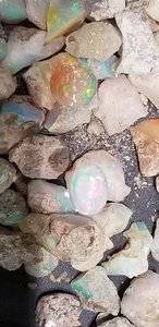 20190407_124827.jpg