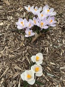 IMG_1890.jpeg