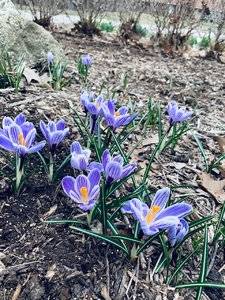 IMG_1895.jpeg