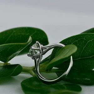 thumbnail-3.jpg