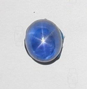 Blue star close up.jpg