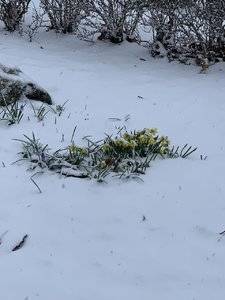 IMG_1970.jpeg