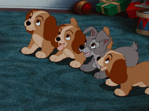939D3B31-8FF7-4D59-B5F8-A30E7695C805.gif