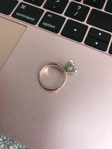 IMG_6369.jpeg IMG_6369.jpeg