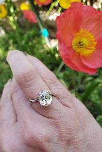 20190422_152111.jpg