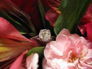 IMG_0735.JPG