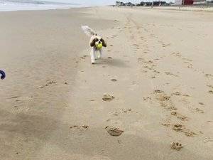 94549D58-7494-4867-8775-88A648A8F30B.jpeg