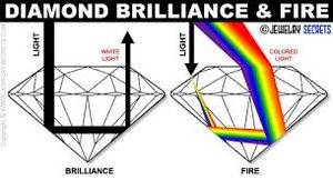 14E849D1-F706-4DE3-A3DB-2966412142C1.jpeg