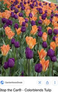 C94D4D38-3046-48B4-9B6C-47D0A20344B0.jpeg