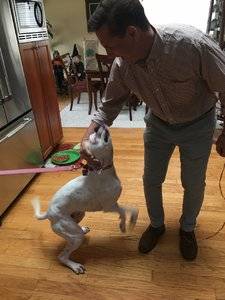 45B879DC-E386-4501-92A0-E0D1CA456EDF.jpeg