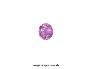 13B6FB2D-CDCB-4454-A968-1AC8EC565070.jpeg