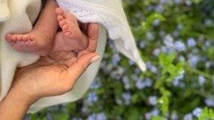 _106925193_7be623d7-de01-4bcf-809f-e2814d5c04d0.jpg