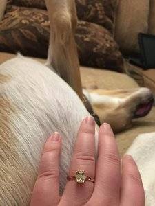 IMG_4534.JPG IMG_4534.JPG