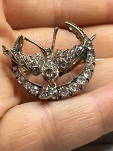 Diamond Swallow Crescent 4.JPG Diamond Swallow Crescent 4.JPG
