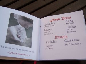 ring shot program.jpg