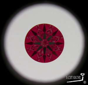 FSI1idealscope.jpg