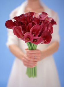 032108_bouqgal_1l.jpg