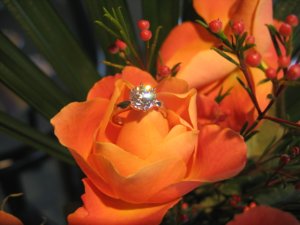 IMG_1610.JPG