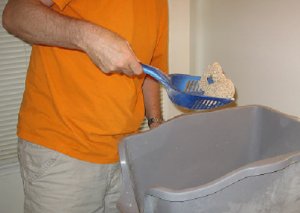 cleaning the cat box.jpg