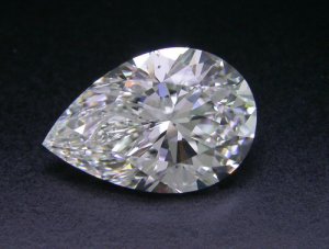 pear1.82 40x.jpg