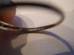 digital pics 203.jpg