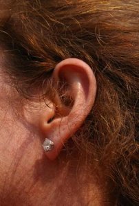 earside.JPG