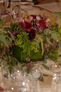 DSC_1021sm-1.JPG