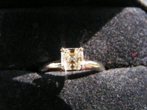 ring4lrm.JPG