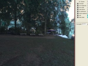 DiamondInParkBigFOV.jpg