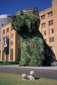 Jeff_Koons_Puppy_01.jpg.0x700_q85.jpg