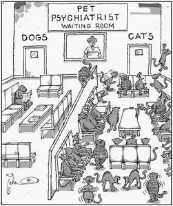 petpsychiatrist.jpg