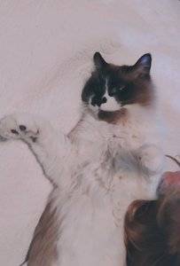 20190113_144157~2.jpg
