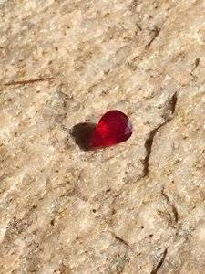 Tiffany Ruby 2.JPG