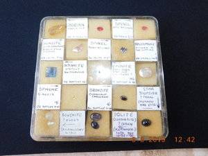 DSCN0650.JPG