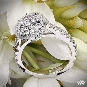 rounded-pave-halo-diamond-engagement-ring-in-platinum_gi_3741_g-27746.jpg