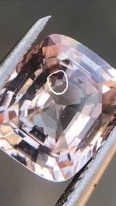 B8101AD5-D596-4F66-9C93-9AE0AD49DE0B.jpeg
