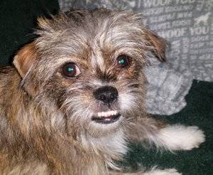 Lola7.jpg