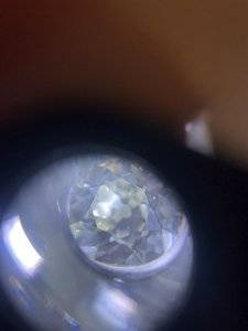 D18723A7-FDA0-49DD-9AE1-FFF58A31087A.jpeg