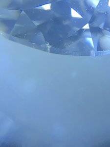 B114A103-48DE-4052-9130-85CAFE82DCCF.jpeg