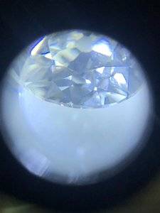 87F5141E-C788-4E45-BED2-9D9543D373F7.jpeg