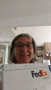 ringo4.jpg ringo4.jpg