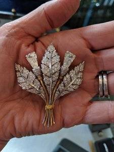 Platt brooch.jpg