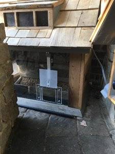 feralfeedingstationwithfood.jpg
