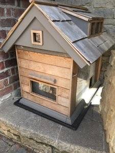 feralkittyfeederatbeachhouse.jpg