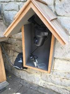 feralkittycamera.jpg